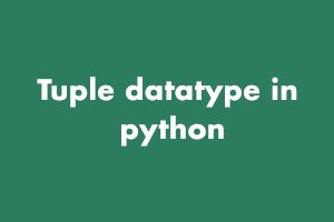 datatype