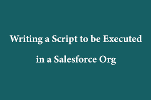 Salesforce Script
