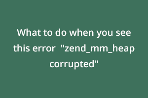 What to do when you see this error "zend_mm_heap corrupted"