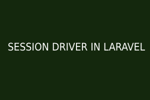 SESSION DRIVER